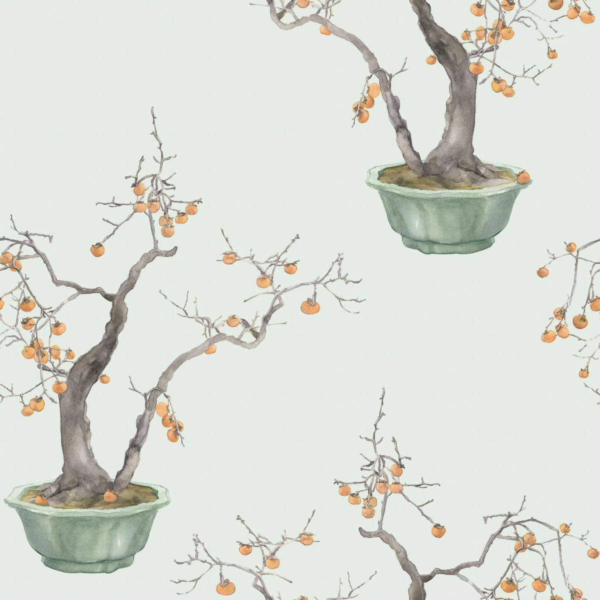Kaki Persimmon By Cole and Son
