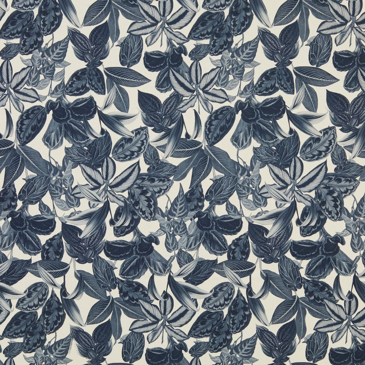 Mackenzie by Warwick Fabrics