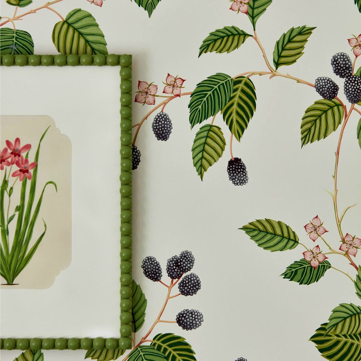 Rubus By Sanderson Wallpaper Fabrics