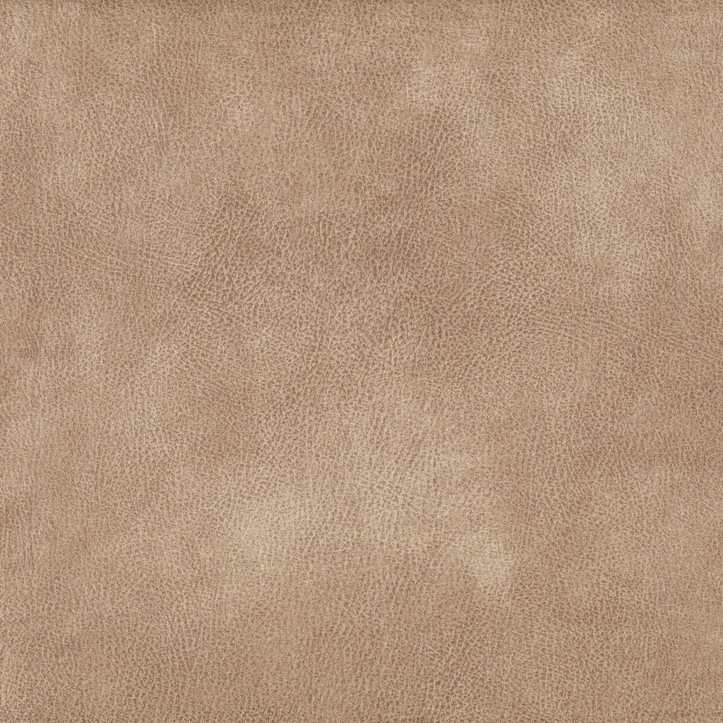 Plush Velvet Fabric by Warwick in Taupe